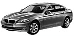 BMW F10 P1965 Fault Code